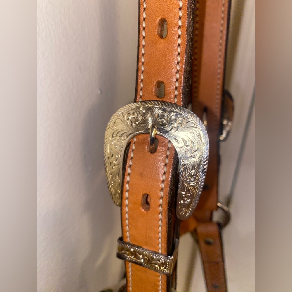 Show Halter - Picture 4 of 6
